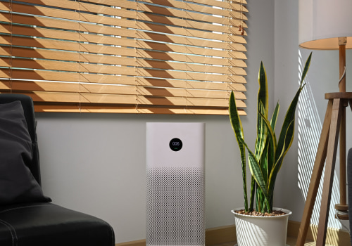 10 Home Air Filters Near Me You Can Find Today